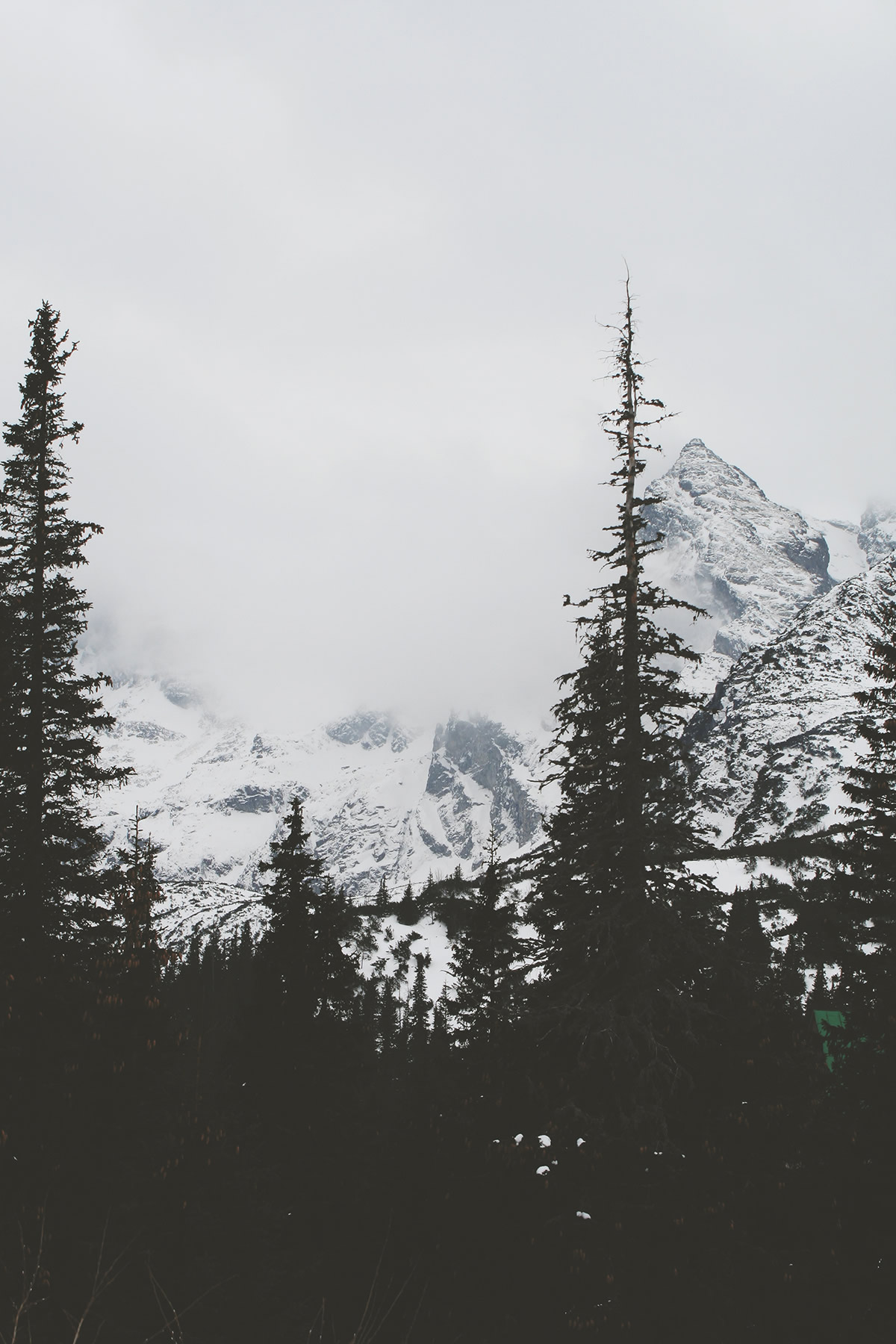 unsplash10