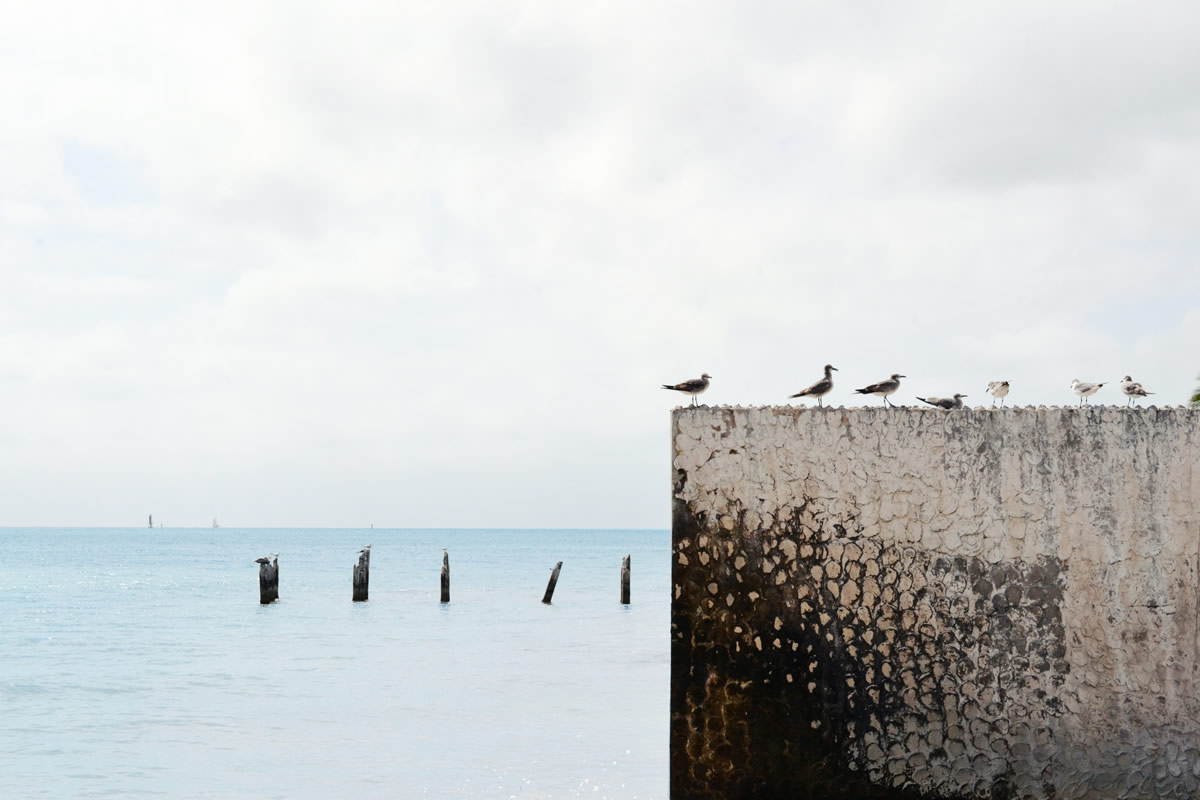 unsplash8